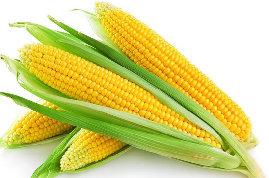 玉米价格触底反弹