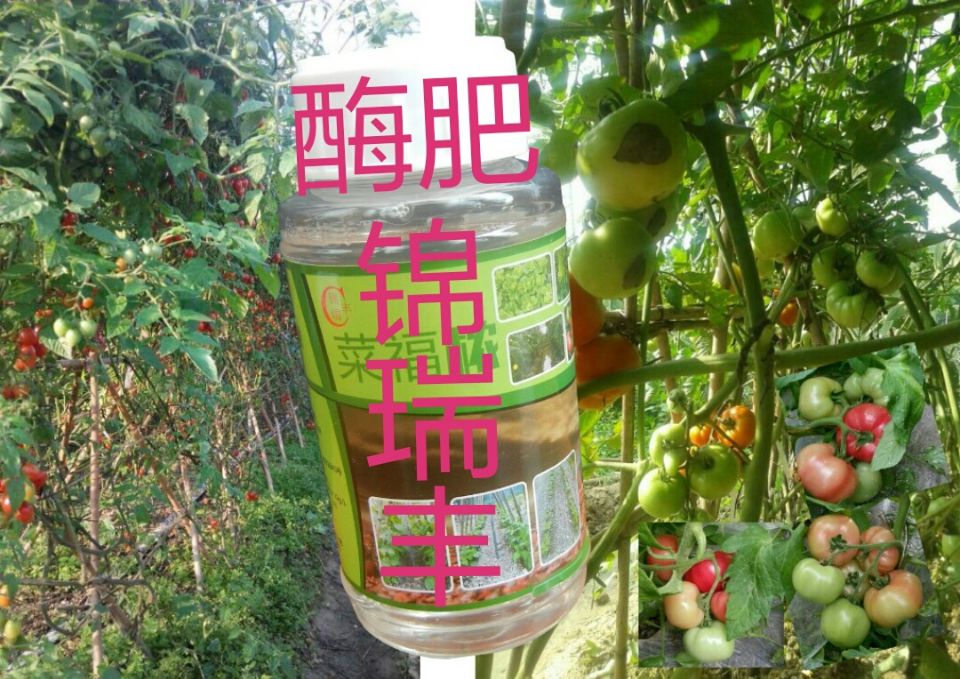 <b>全素液肥灏丰大量元素水溶肥</b>